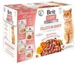 Brit Katzenfutter Huhn Lachs T&uuml;rkei Ente 12 x 85g
