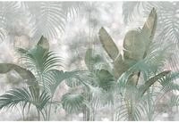 Komar Vlies Fototapete - Paillettes Tropicales - Gr&ouml;&szlig;e 368 x 248 cm - Tapete,