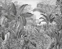 Komar Vlies Fototapete - Roraima - Gr&ouml;&szlig;e: 350 x 280 cm (Breite x H&ouml;he) -