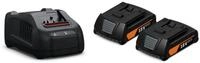 Fein Akku Starterset GBA 18 V 2,0 AH AS (2 Li-Ionen Akkus 2,0 AH + Ladeger&auml;t, f&uuml;r