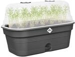 elho Green Basics Anzucht Schale Allin 1 M - Living Schwarz | L 18 x B 32 x H 13.2 cm