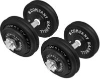 Guss Kurzhantel-Set 55Kg (2 x Kurzhantelstange 35cm, 4x2,5 und 8x5Kg Hantelscheiben)
