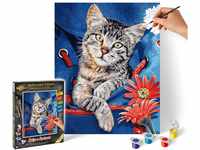 Schipper 609240842 Malen nach Zahlen - Katze im Rucksack-Bilder malen für