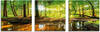 ARTland Glasbilder Wandbild Glas Bild Set 3 teilig je 40x40 cm Quadratisch Wald...