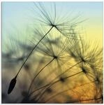 ARTland Wanddeko Glasbilder Wandbild Glas Bild einteilig 40x40 cm Quadratisch...