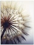 ARTland Wanddeko Glasbilder Wandbild Glas Bild einteilig 45x60 cm Hochformat...