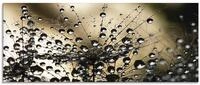 ARTland Wanddeko Glasbilder Wandbild Glas Bild einteilig 125x50 cm Querformat...