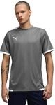 Puma Herren Teamliga Striped Jersey Shirt (1er Pack)