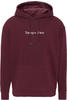 TOMMY JEANS - Men's regular hoodie with linear logo - Size XL