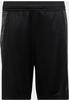 Adidas Jungen Shorts (1/2) B Ti Heath SHO, Black/Grey Six, HR5923, 152