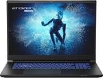 MEDION ERAZER Defender P40 43,9 cm (17,3" Zoll 100% sRGB 240Hz) QHD Gaming Laptop