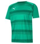 Puma Unisex Teamvision Jersey T-Shirt, Gr&uuml;n (Pepper Green-Power), XXXL