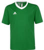 adidas Unisex Kinder Ent22 Jsy Y T Shirt, Team Green/White, 11-12 Jahre EU
