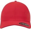 Flexfit Unisex Delta