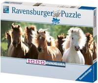 Ravensburger 15091 - Wildpferde - 1000 Teile Panorama Puzzle