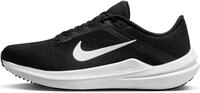 Nike Winflo 10 Stra&szlig;enlaufschuh f&uuml;r Herren, DV4022