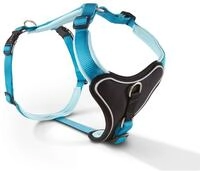 Wolters | Geschirr Professional Comfort in Aqua/Azur | Brustumfang 30 - 35 cm