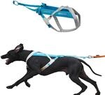 Freemotion Harness 5.0 Parent Listing (Blue/Gray, 7)