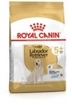 ROYAL CANIN Labrador Retriever Adult 5+ - 12 kg