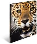 HERMA Sammelmappen A4 Leopard Set, 3 St&uuml;ck, Kinder Eckspanner-Mappen aus Kunststoff