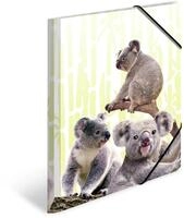 HERMA Sammelmappe A4 Koala, Kinder Eckspanner-Mappe aus Kunststoff mit Tier Motiv,
