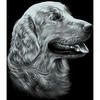 MAMMUT 130002 - Kratzbild, Motiv Hund, silber, glänzend, mini, Komplettset mit