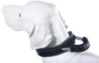 Armored Tech Dog Control Halsband mit integrierter Kurzleine (XS - Halsumfang 31-35