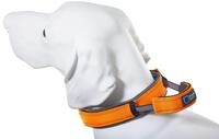 Dog Control Halsband mit integrierter Kurzleine (XL - Halsumfang 51-60 cm, orange)