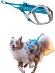 Freemotion Harness 5.0 Parent Listing (Blue/Gray, 6)