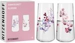RITZENHOFF 6241001 Universalglas Set - Serie Sommersonett - 2 St&uuml;ck mit Beerenmotiv
