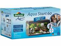 Dehner Aqua Aquarium Starterset 60, ca. 61 x 37 x 31 cm, inkl. Futter und
