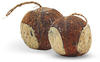Lyra Pet® | 2 x 4 Ganze Kokosnüsse mit 3 Löchern Gefüllt | Fettreiches