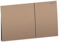 Geberit Sigma70 Bet&auml;tigungsplatte f&uuml;r 2-Mengen-Sp&uuml;lung, 115.622.QB.1, Farbe: