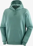 Salomon LC2287800040, Salomon Sal Logo Pride Hoodie M North Atlantic Herren