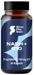 NADH (Panmol&reg;) 20 mg + Coenzym Q10 100 mg Kapseln | 60 Kapseln | laktosefrei |...