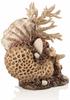 biOrb 48360 Korallen-Muschel Ornament - Aquariendekoration in Form eines