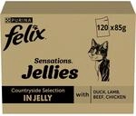 FELIX Sensations Gelees Nassfutter f&uuml;r Katzen Geschmacksvielfalt vom Land 120 Beutel