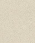 Rasch Tapeten Vliestapete (universell) Beige goldene 10,05 m x 0,53 m Concrete...