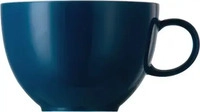 Thomas 10850-408534-14642, Thomas Sunny Day Petrol Tee-/Kombi-Obertasse