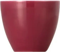 Thomas 10850-408517-15520, Thomas Sunny Day Fuchsia Eierbecher