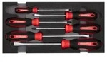 GEDORE R22150013 Schraubendrehersatz PH+SL 2/6 CT-Modul 6-teilig
