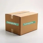 Hansgrohe Anschlu&szlig;schlauch 450mm mit 3/8 &Uuml;ber- wurfmutter"