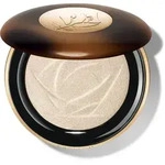 Id&ocirc;le Teint Ultra Powder Highlighter