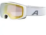Alpina BIVIO Q - Skibrille / Snowboardbrille - white matt