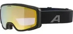 Alpina BIVIO Q - Skibrille / Snowboardbrille - black matt