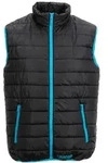 Planam Weste Outdoor Lizard Gr. XL schwarz/blau