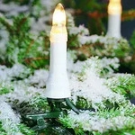 2012-000 Baumkette, Topbirnen,