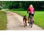 Abstandhalter f&uuml;r Hunde am Fahrrad - Karlie Camon Walky Dog Plus - F&uuml;hrhalter -