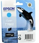 Epson Tinte C13T760240 cyan T7602