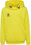 Polyester-Hoodie Kind Hummel Authentic